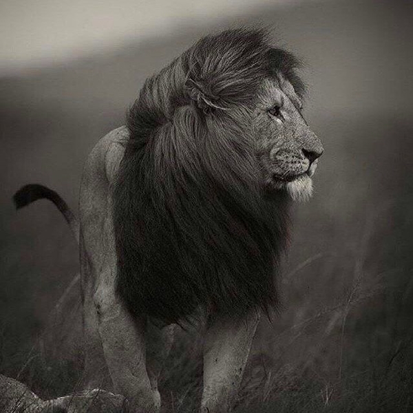 ابراهیم هناره